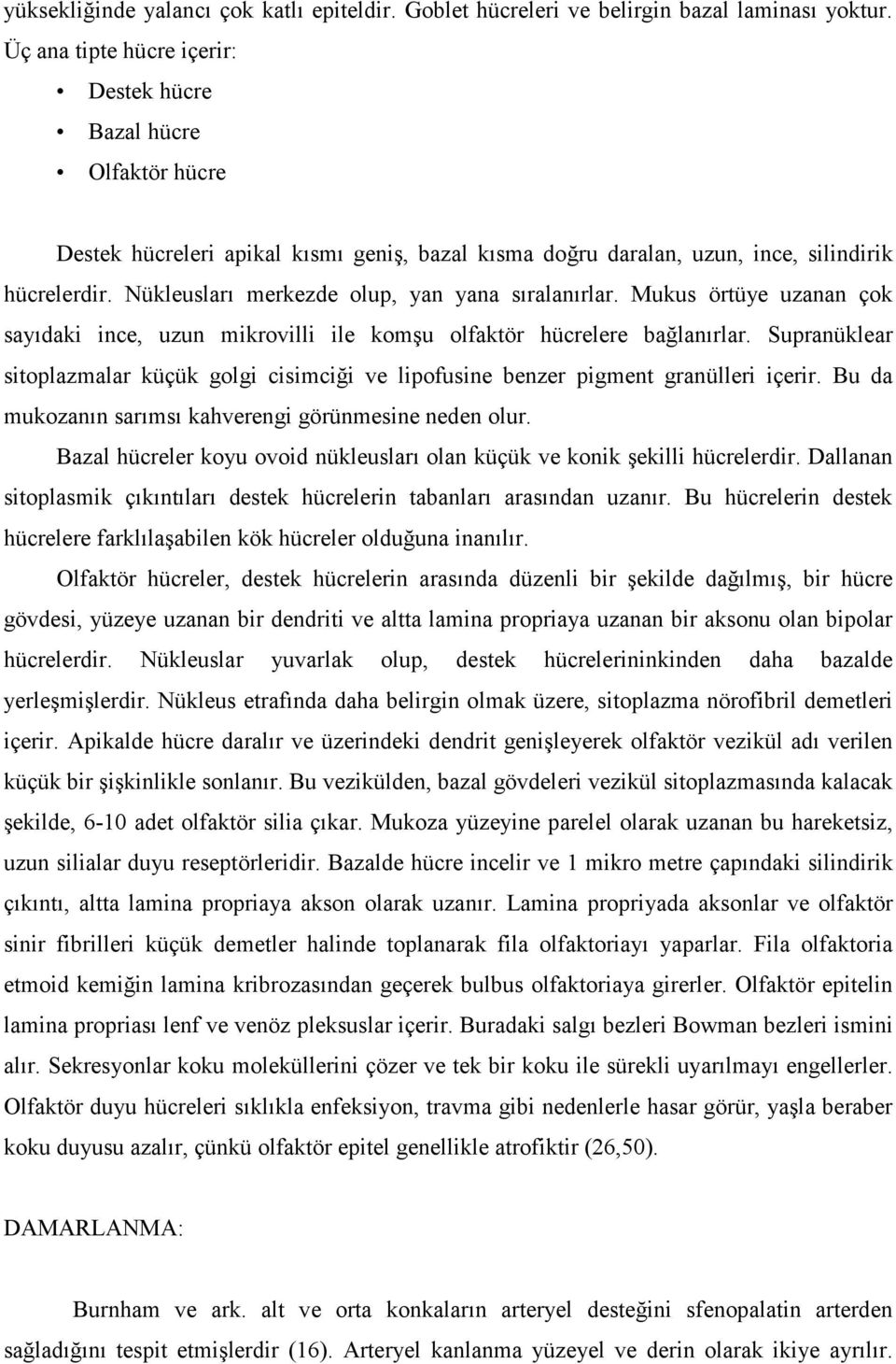 Nükleusları merkezde olup, yan yana sıralanırlar. Mukus örtüye uzanan çok sayıdaki ince, uzun mikrovilli ile komşu olfaktör hücrelere bağlanırlar.