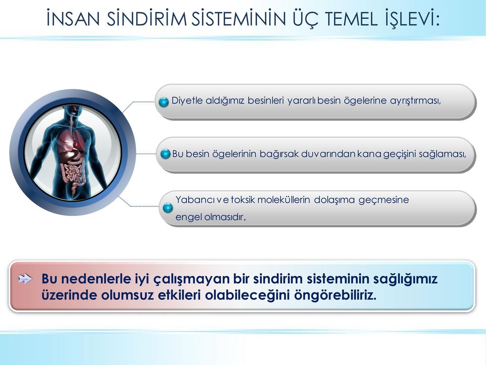 Yabancı v e toksik moleküllerin dolaģıma geçmesine engel olmasıdır.