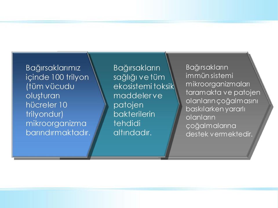 Bağırsakların sağlığı ve tüm ekosistemi toksik maddeler ve patojen bakterilerin tehdidi