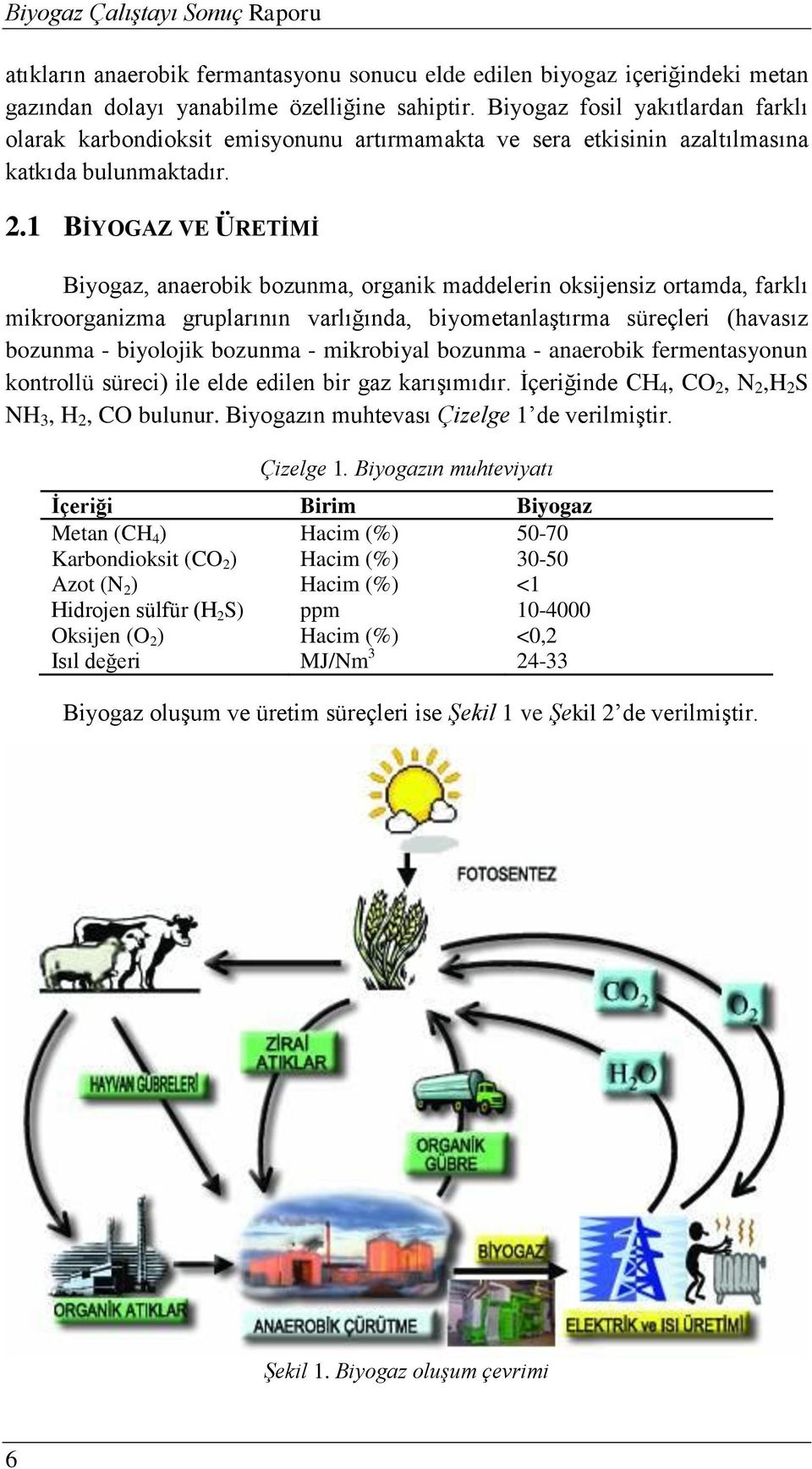 1 BİYOGAZ VE ÜRETİMİ Biyogaz, anaerobik bozunma, organik maddelerin oksijensiz ortamda, farklı mikroorganizma gruplarının varlığında, biyometanlaştırma süreçleri (havasız bozunma - biyolojik bozunma