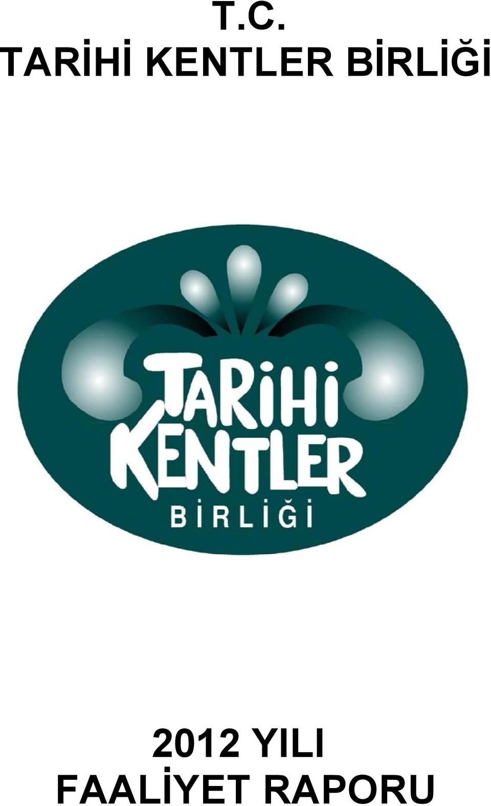 BİRLİĞİ 2012