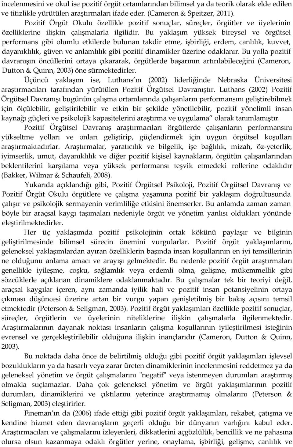 Bu yaklaşım yüksek bireysel ve örgütsel performans gibi olumlu etkilerde bulunan takdir etme, işbirliği, erdem, canlılık, kuvvet, dayanıklılık, güven ve anlamlılık gibi pozitif dinamikler üzerine