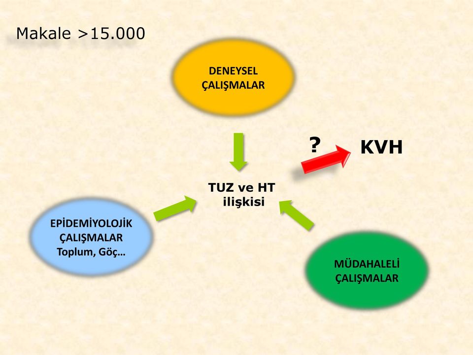 KVH EPİDEMİYOLOJİK ÇALIŞMALAR