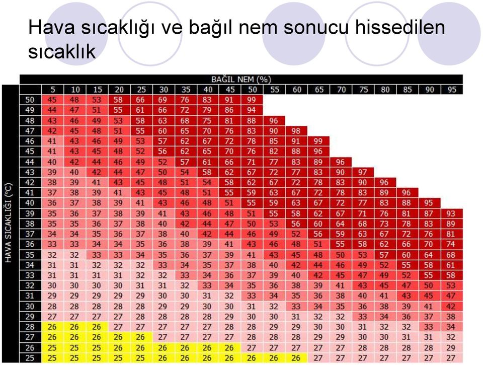 bağıl nem