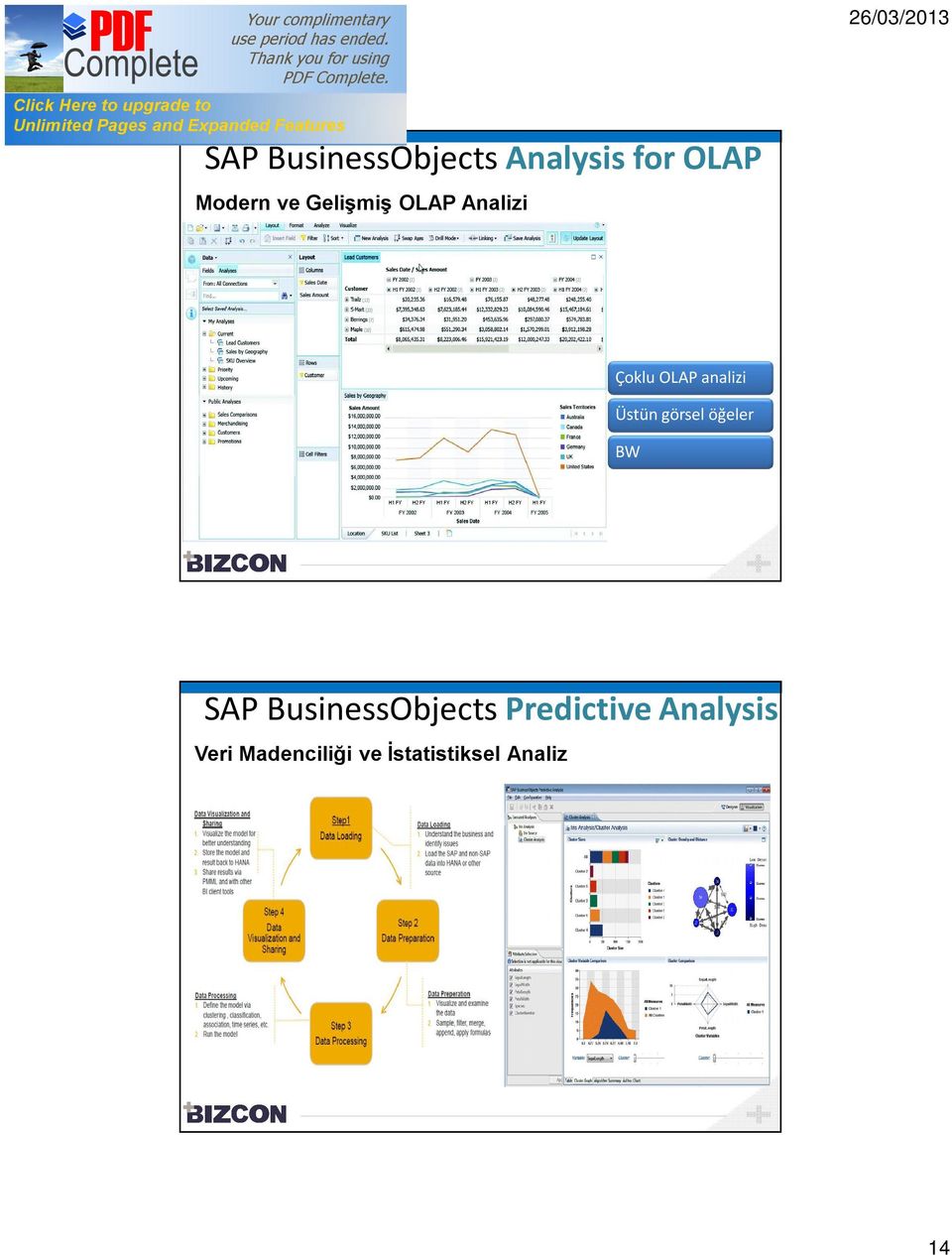 görsel öğeler BW SAP BusinessObjects Predictive