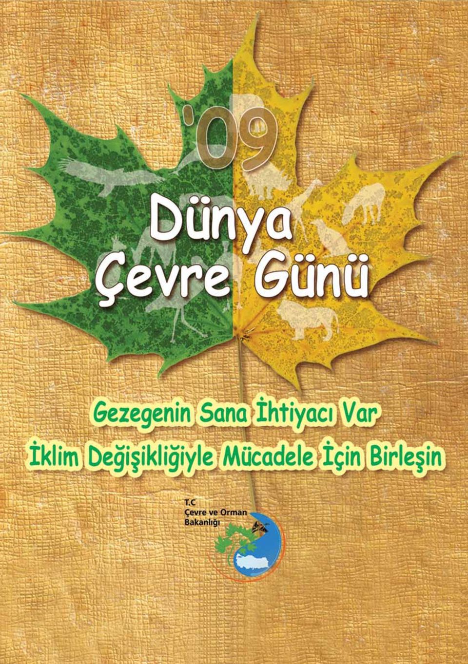 Çevre ve