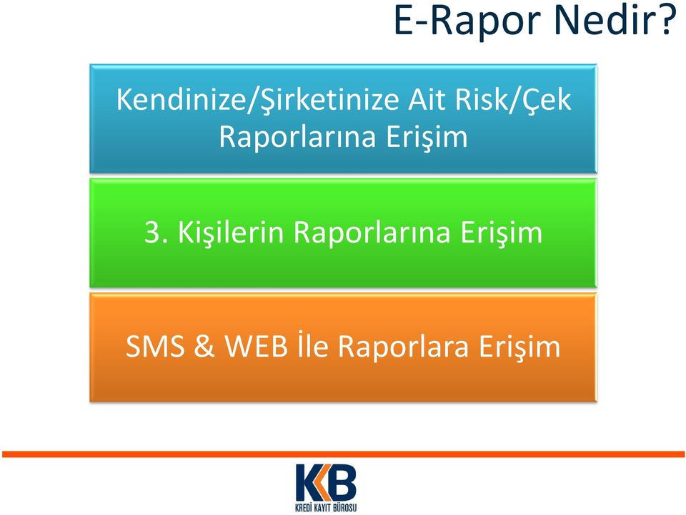 Risk/Çek k Raporlarına Erişim 3.