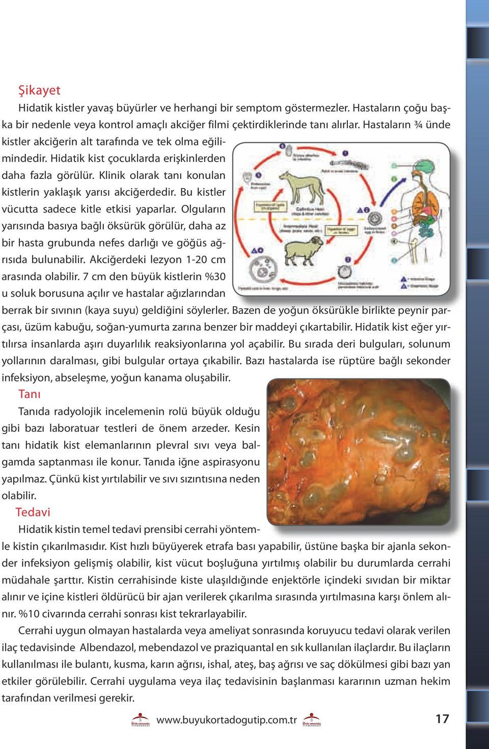 Klinik olarak tanı konulan kistlerin yaklaşık yarısı akciğerdedir. Bu kistler vücutta sadece kitle etkisi yaparlar.