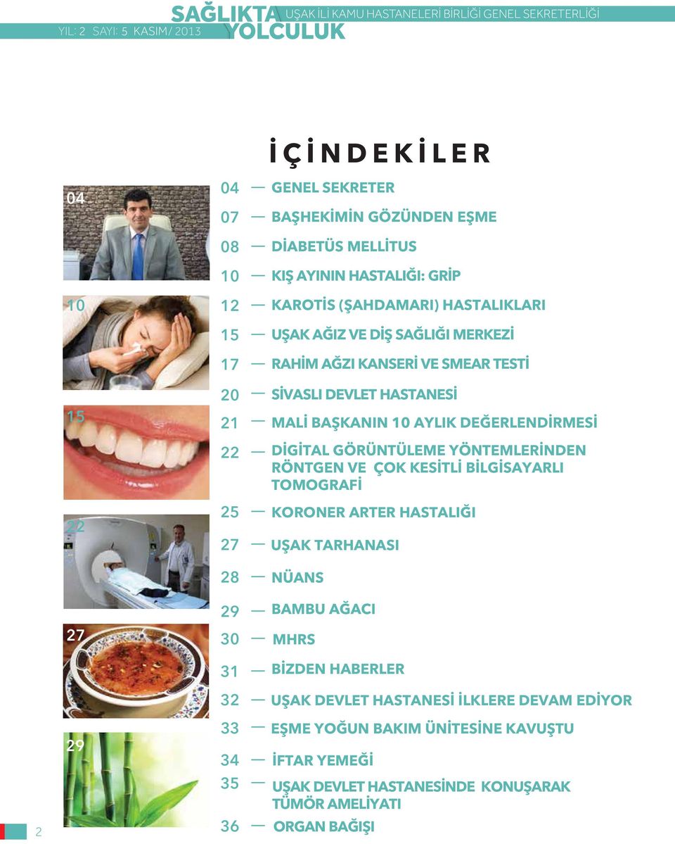 10 AYLIK DEĞERLENDİRMESİ DİGİTAL GÖRÜNTÜLEME YÖNTEMLERİNDEN RÖNTGEN VE ÇOK KESİTLİ BİLGİSAYARLI TOMOGRAFİ KORONER ARTER HASTALIĞI UŞAK TARHANASI NÜANS BAMBU AĞACI MHRS