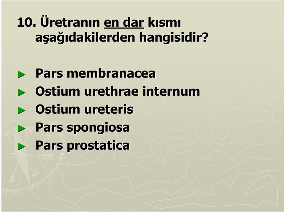 Pars membranacea Ostium urethrae