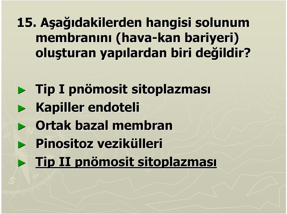 Tip I pnömosit sitoplazması Kapiller endoteli Ortak