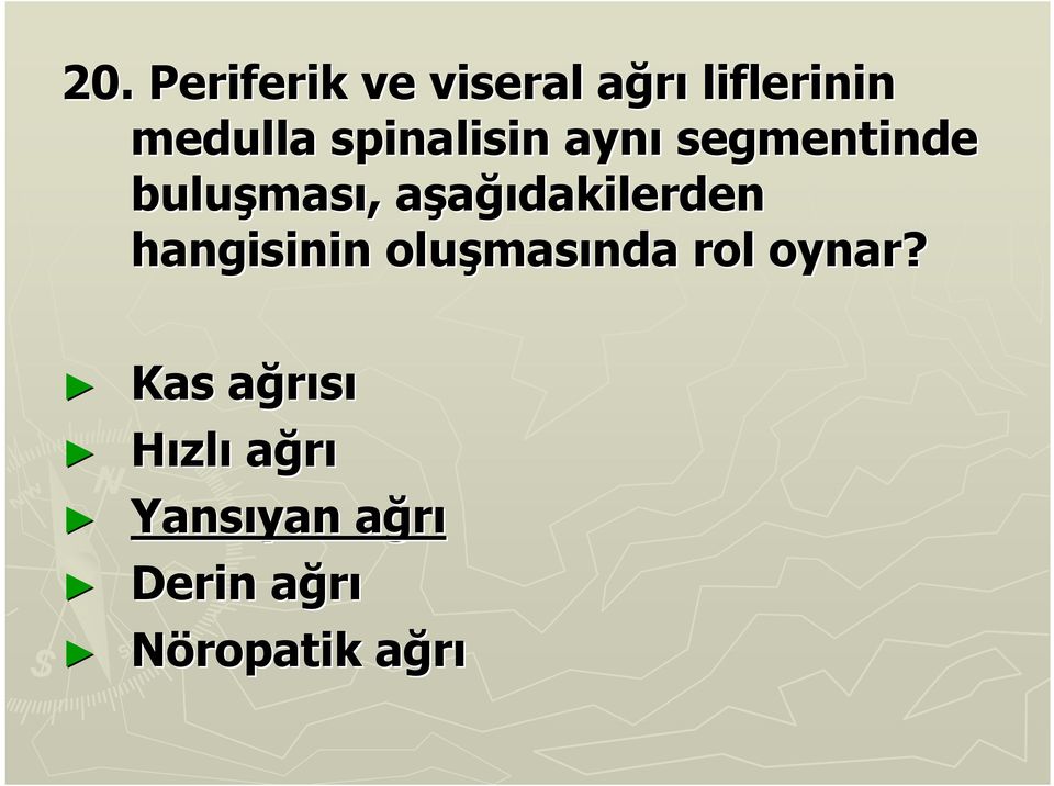 ğıdakilerden hangisinin oluşmas masında rol oynar?