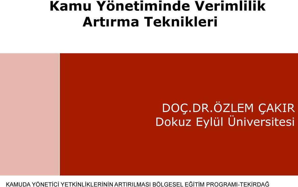 ÖZLEM ÇAKIR Dokuz Eylül Üniversitesi