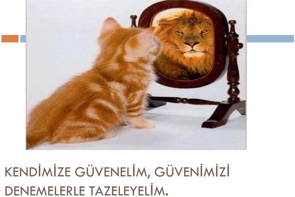 GÜVENİMİZİ