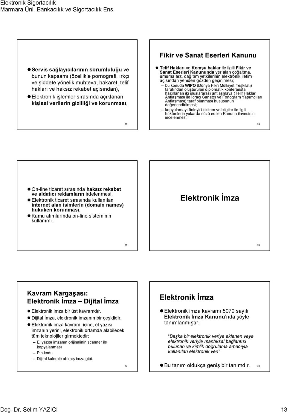 yetkilerinin elektronik iletim açısından yeniden gözden geçirilmesi; bu konuda WIPO (Dünya Fikri i Mülkiyet Teşkilatı) tarafından oluşturulan diplomatik konferansta hazırlanan iki uluslararası