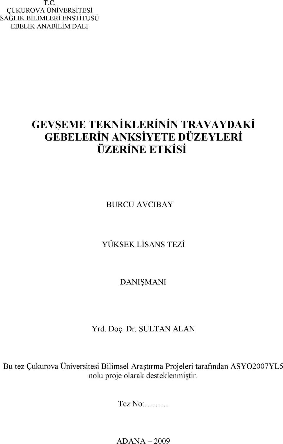 YÜKSEK LİSANS TEZİ DANIŞMANI Yrd. Doç. Dr.