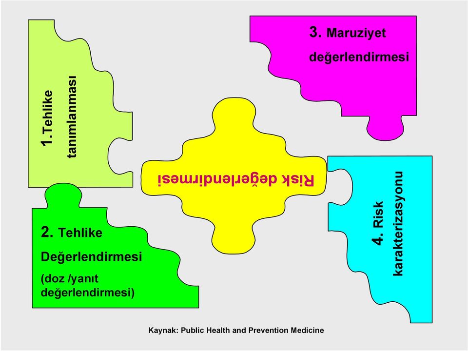 Tehlike Değerlendirmesi (doz /yanıt