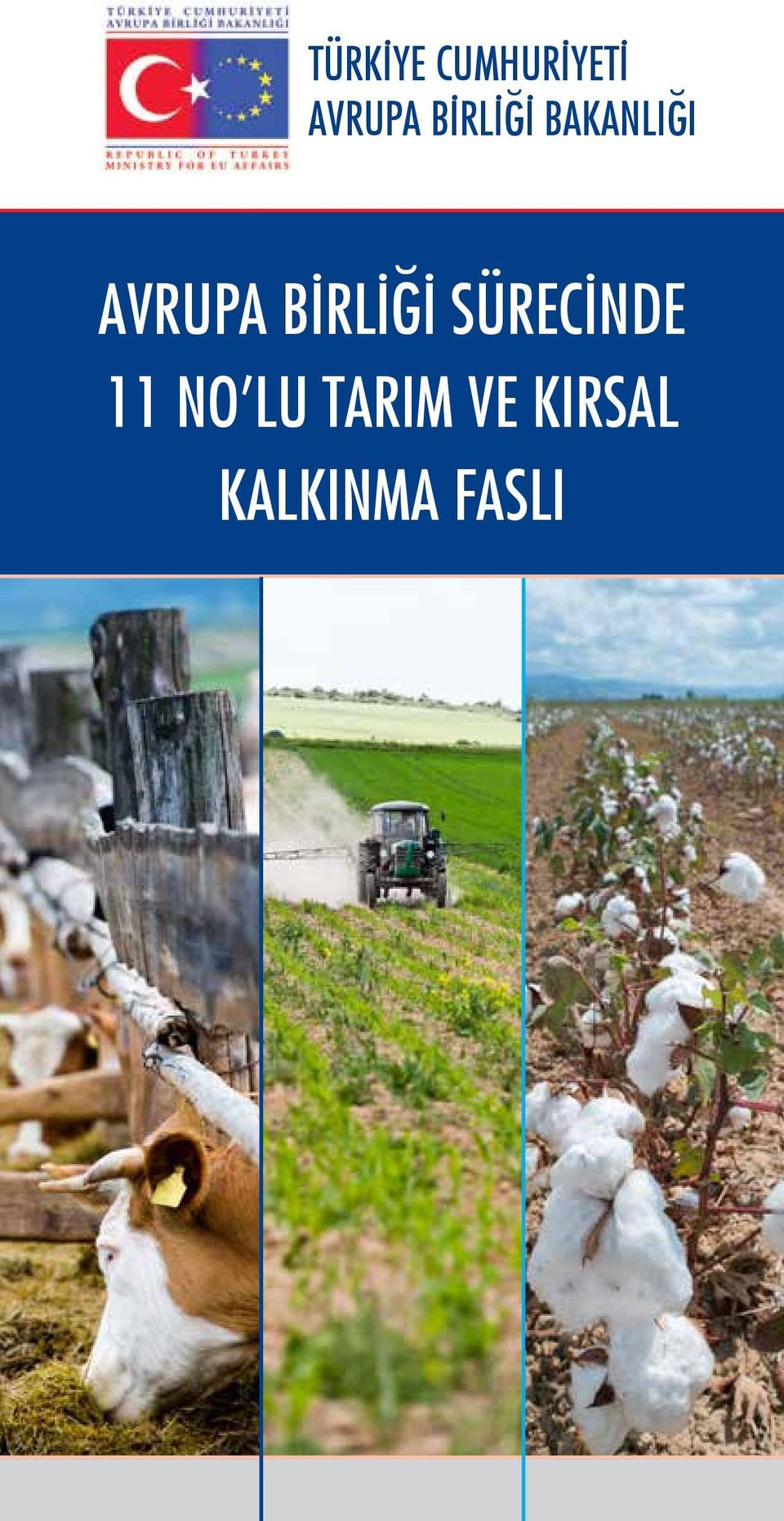 BİRLİĞİ SÜRECİNDE 11 NO LU