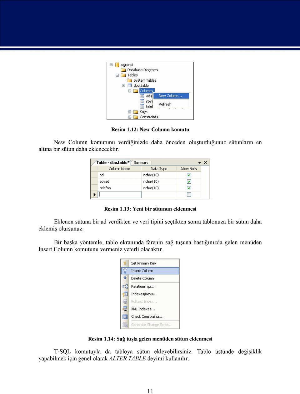 Bir başka yöntemle, tablo ekranında farenin sağ tuşuna bastığınızda gelen menüden Insert Column komutunu vermeniz yeterli olacaktır. Resim 1.