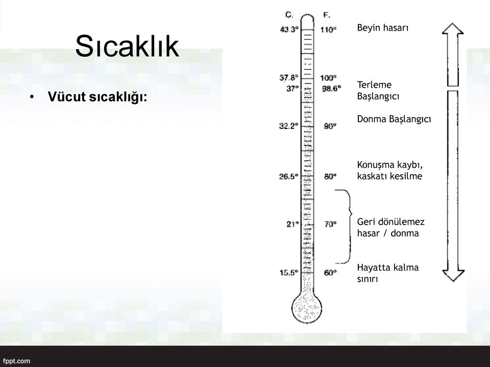 Konuşma kaybı, kaskatı kesilme Geri