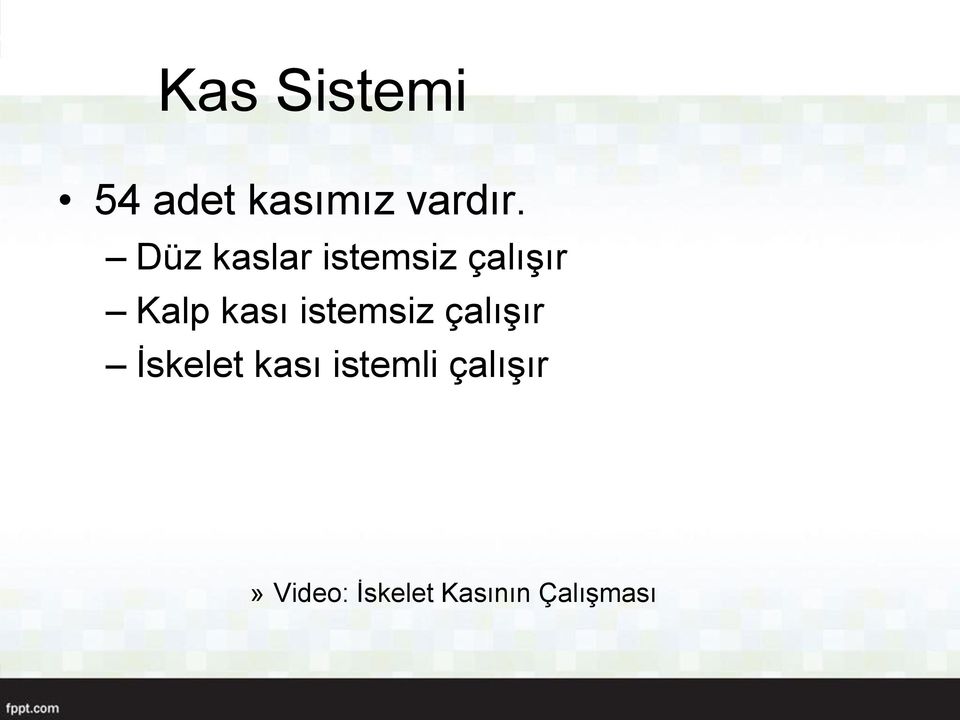 istemsiz çalışır İskelet kası istemli