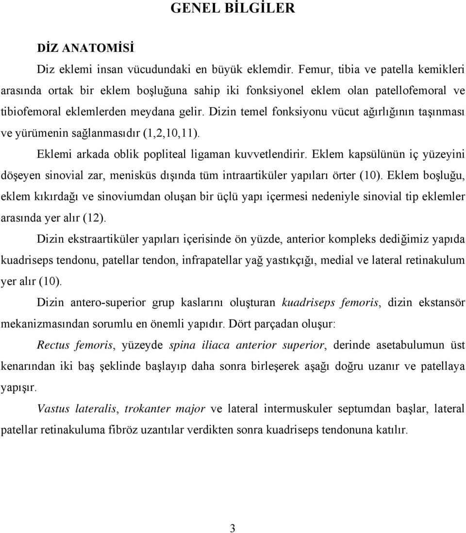 Dizin temel fonksiyonu vücut ağırlığının taşınması ve yürümenin sağlanmasıdır (1,2,10,11). Eklemi arkada oblik popliteal ligaman kuvvetlendirir.