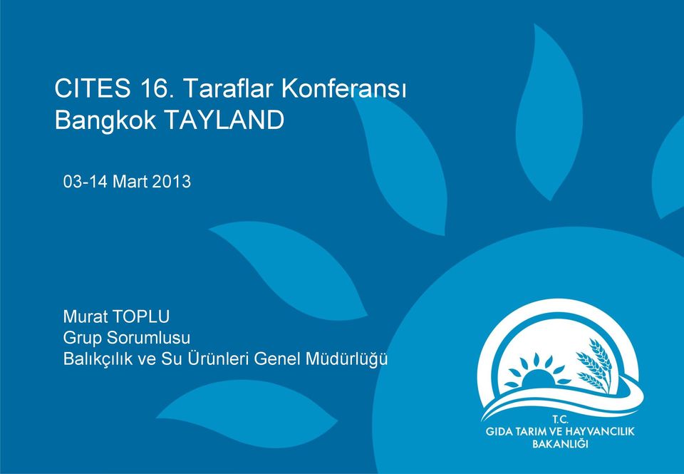 TAYLAND 03-14 Mart 2013 Murat