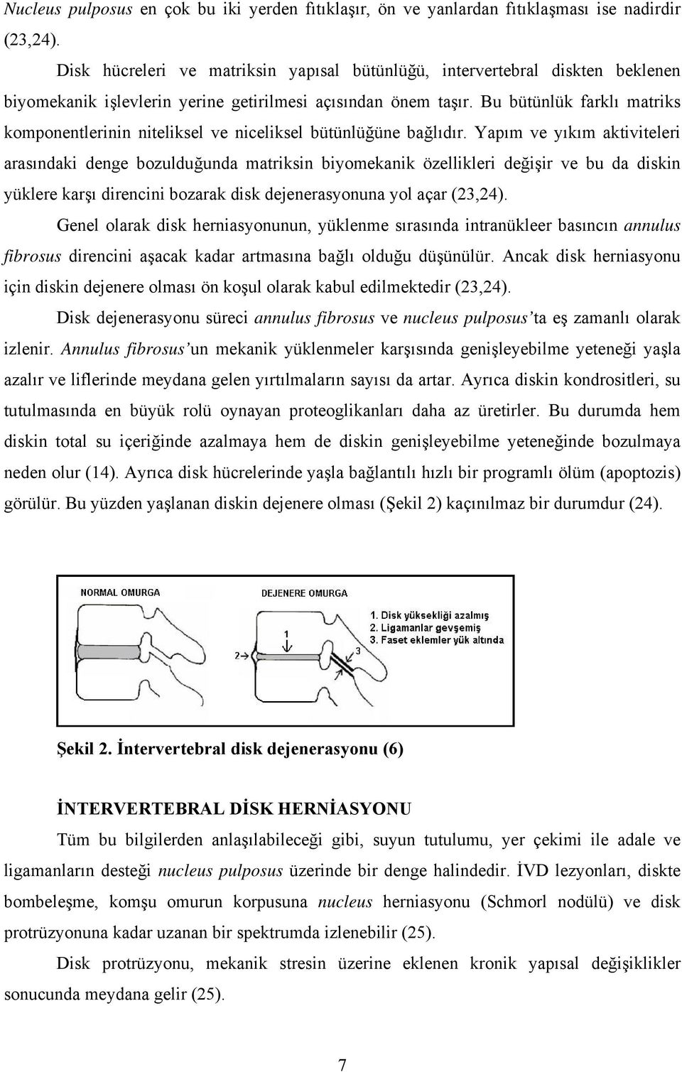 Bu bütünlük farklı matriks komponentlerinin niteliksel ve niceliksel bütünlüğüne bağlıdır.