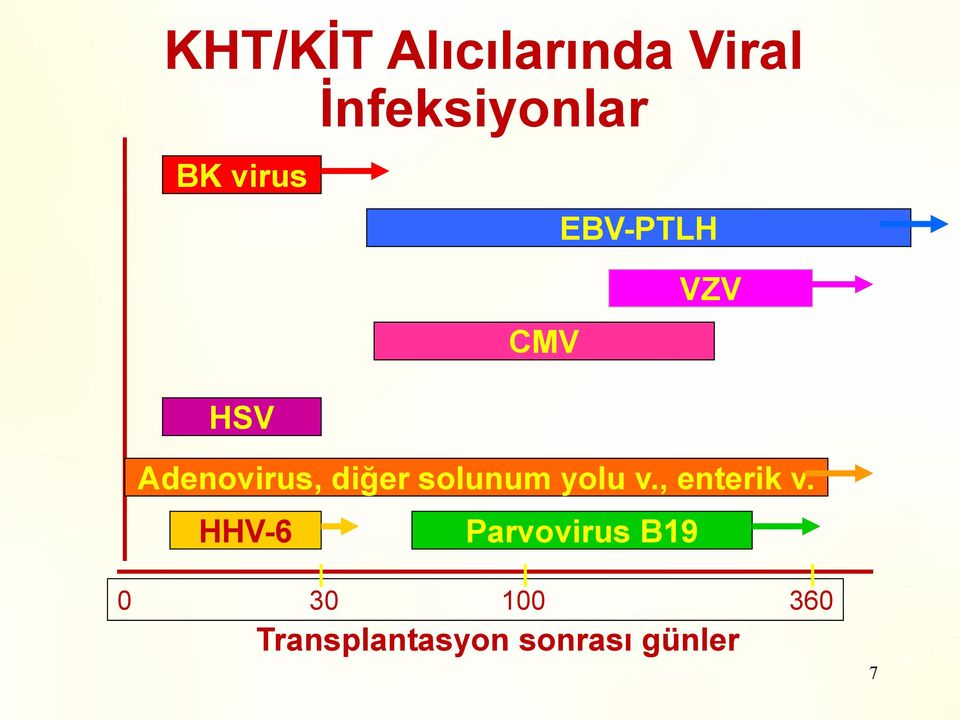 solunum yolu v., enterik v.