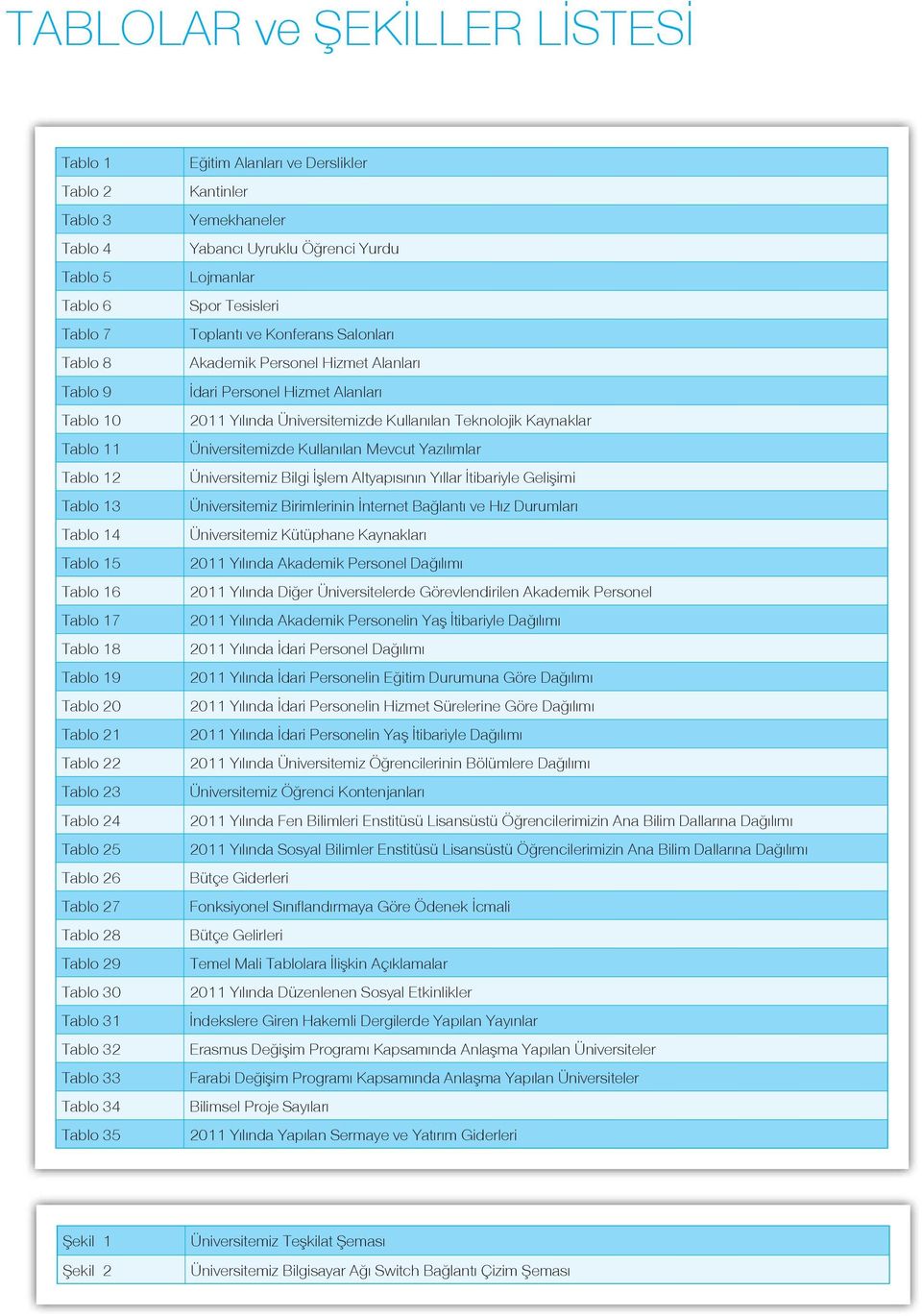 Uyruklu Öğrenci Yurdu Lojmanlar Spor Tesisleri Toplantı ve Konferans Salonları Akademik Personel Hizmet Alanları İdari Personel Hizmet Alanları 2011 Yılında Üniversitemizde Kullanılan Teknolojik