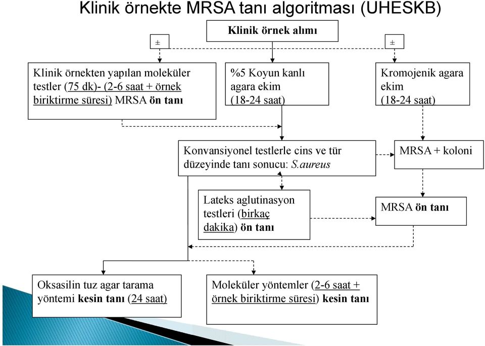 Konvansiyonel testlerle cins ve tür düzeyinde tanı sonucu: S.