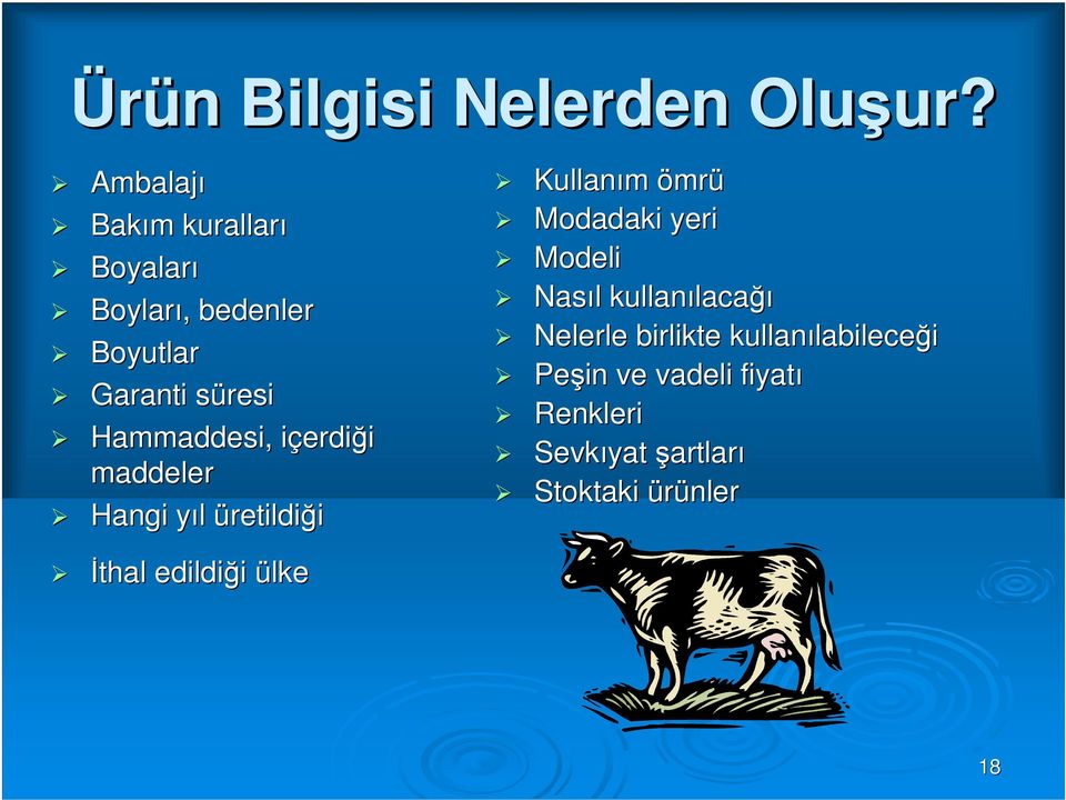 içerdii erdiği maddeler Hangi yıl y üretildiği Kullanım ömrü Modadaki yeri Modeli Nasıl l