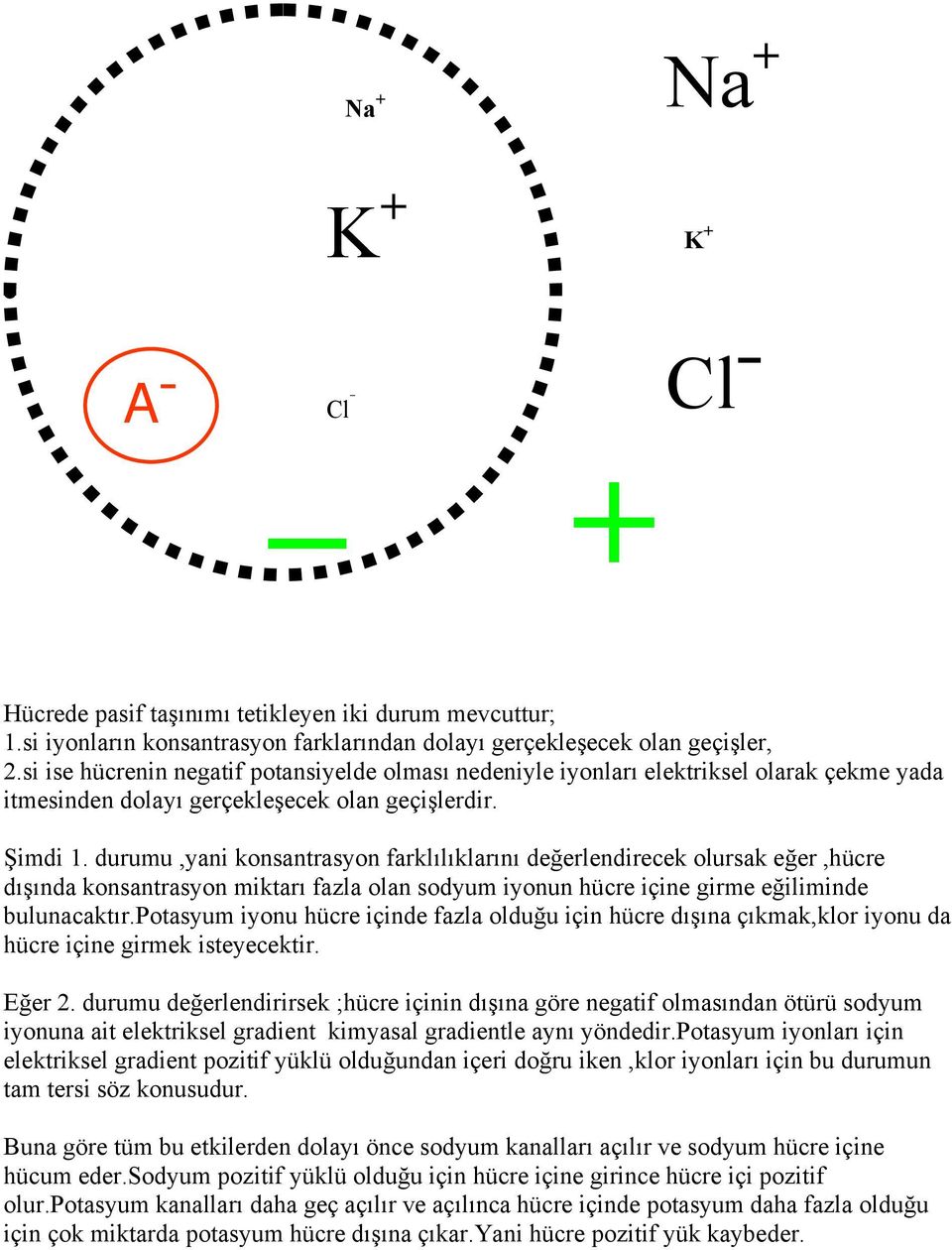 durumu,yani konsantrasyon farklılıklarını değerlendirecek olursak eğer,hücre dışında konsantrasyon miktarı fazla olan sodyum iyonun hücre içine girme eğiliminde bulunacaktır.