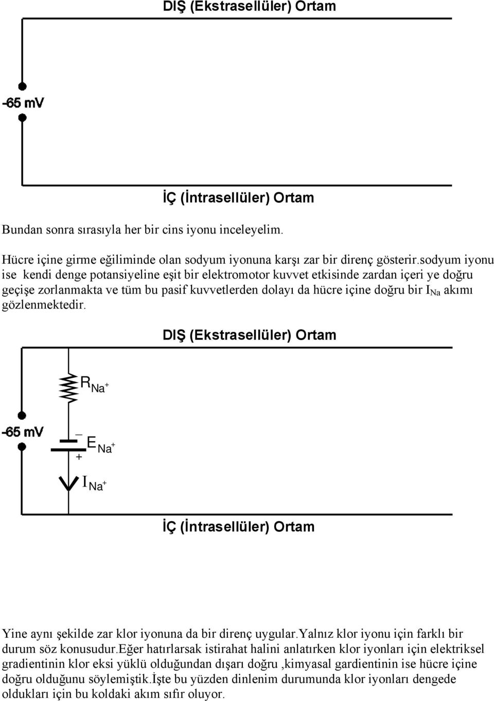 gözlenmektedir. DIŞ (Ekstrasellüler) Ortam R Na _ ENa I Na İÇ (İntrasellüler) Ortam Yine aynı şekilde zar klor iyonuna da bir direnç uygular.yalnız klor iyonu için farklı bir durum söz konusudur.