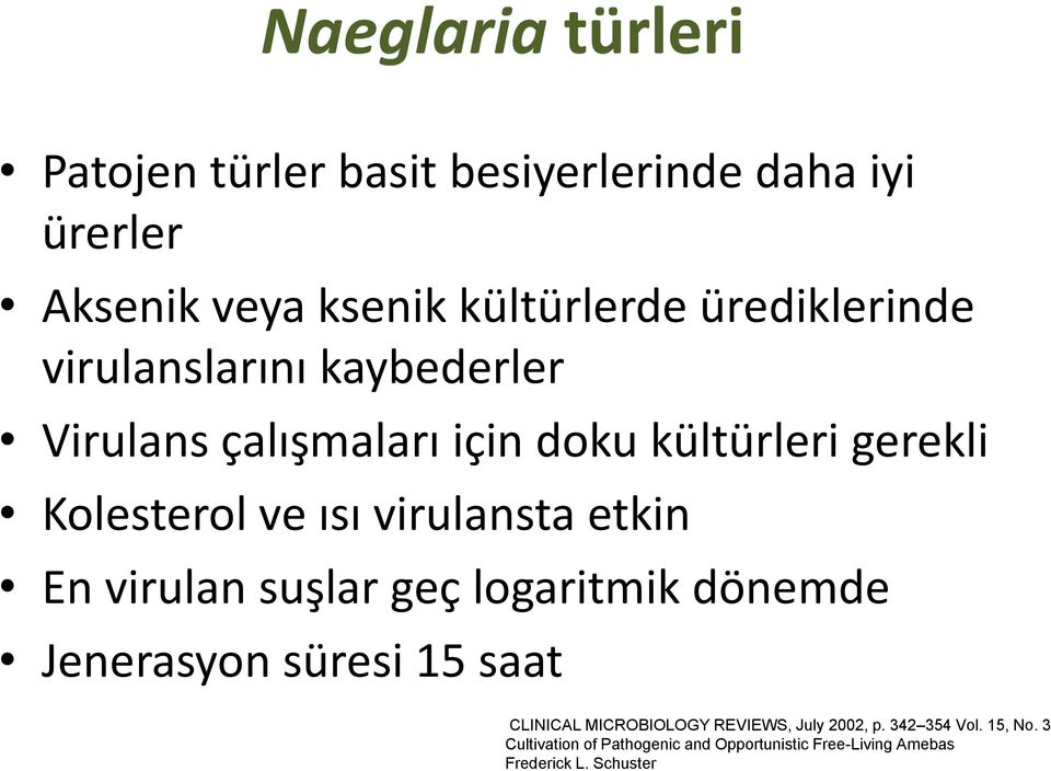 virulansta etkin En virulan suşlar geç logaritmik dönemde Jenerasyon süresi 15 saat CLINICAL MICROBIOLOGY