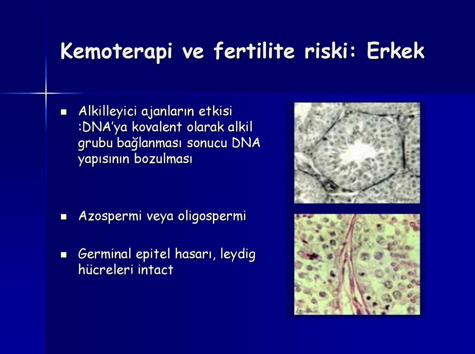 bağlanması sonucu DNA yapısının bozulması Azospermi