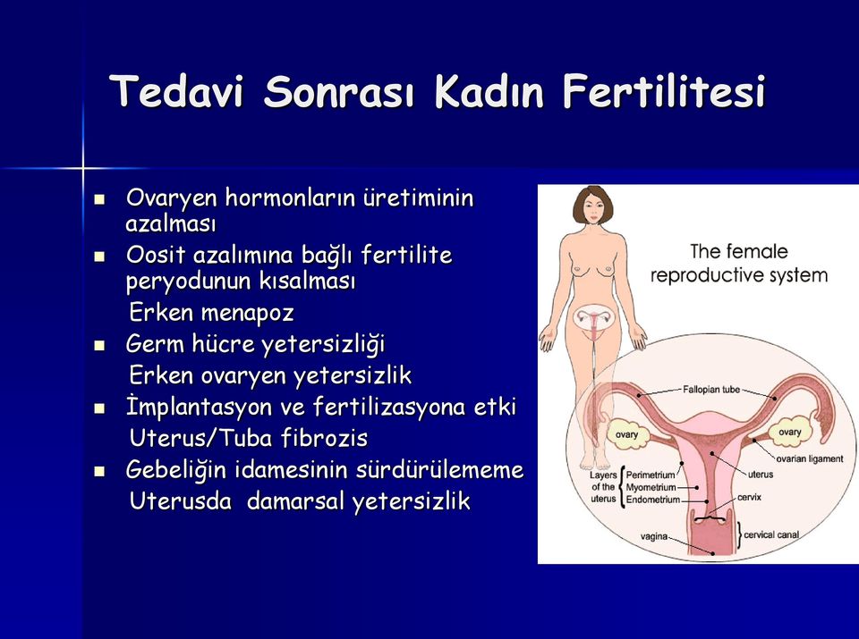 yetersizliği Erken ovaryen yetersizlik İmplantasyon ve fertilizasyona etki