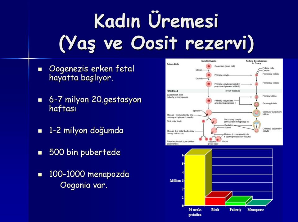 6-7 milyon 20.