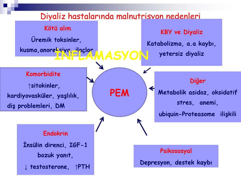 a kaybı, yetersiz diyaliz Komorbidite sitokinler, kardiyovasküler, yaşlılık, diş problemleri, DM PEM