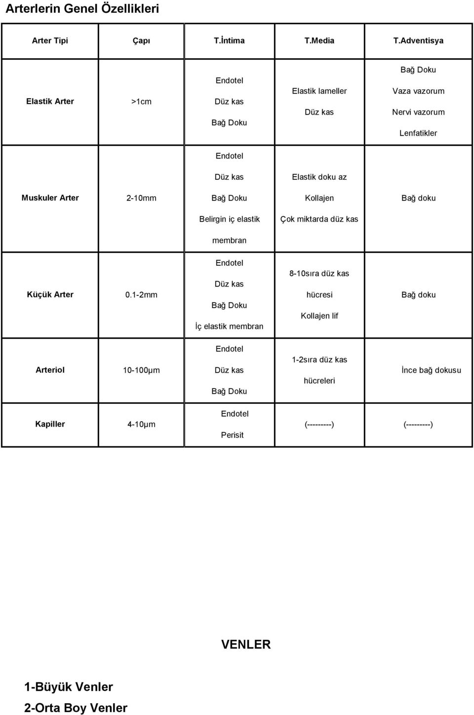 doku az Muskuler Arter 2-10mm Bağ Doku Kollajen Bağ doku Belirgin iç elastik Çok miktarda düz kas membran Küçük Arter 0.