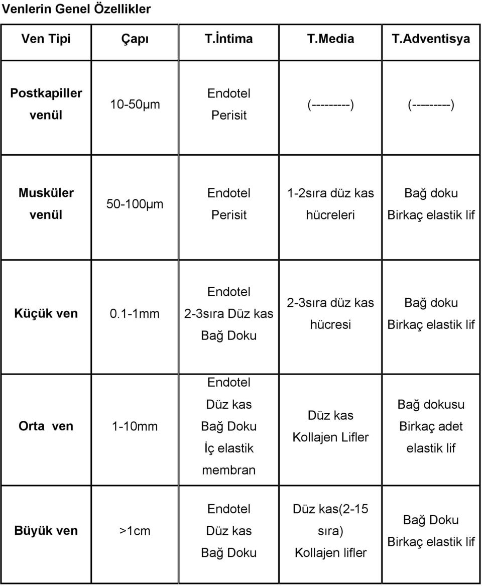 hücreleri Bağ doku Birkaç elastik lif Küçük ven 0.