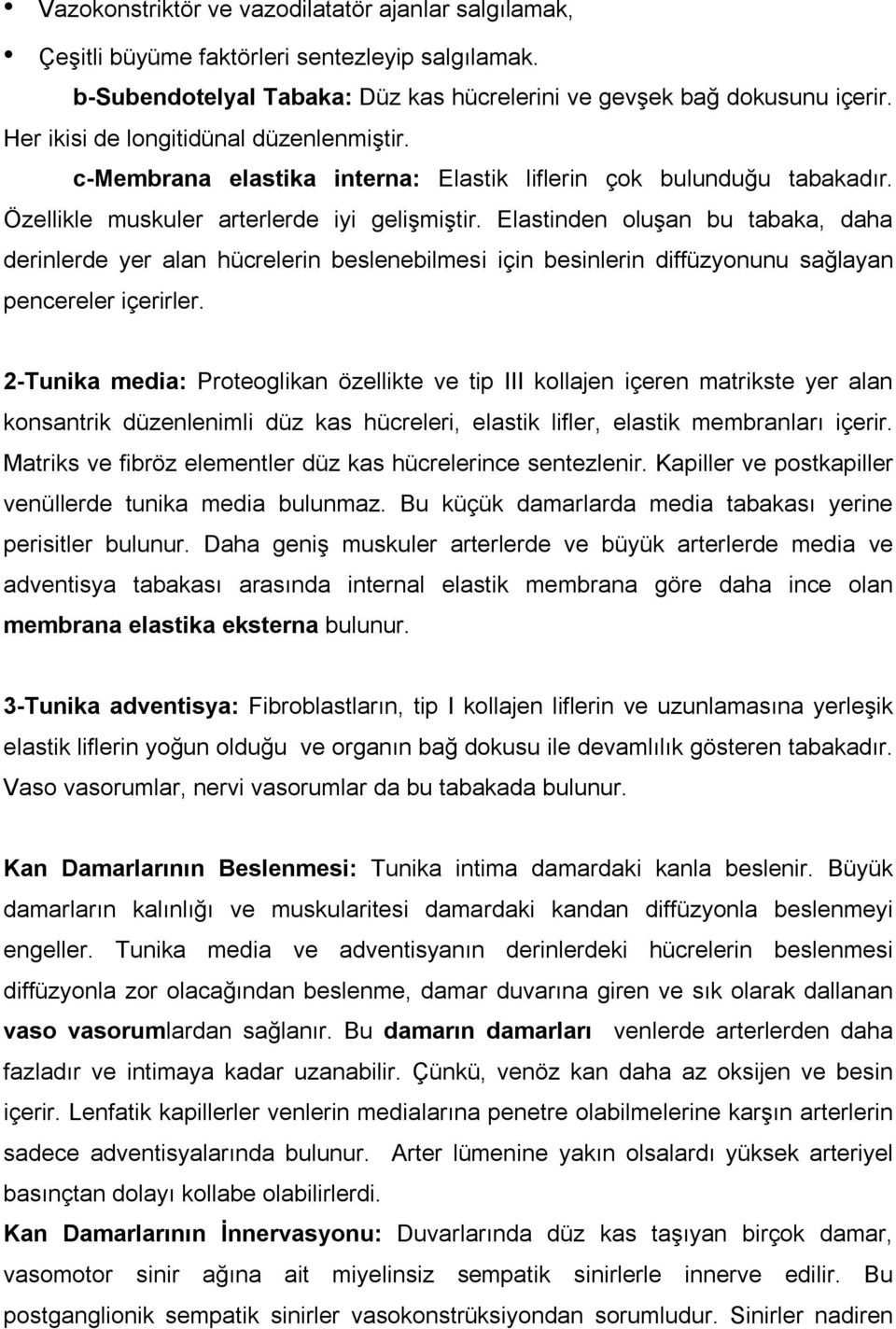 Elastinden oluşan bu tabaka, daha derinlerde yer alan hücrelerin beslenebilmesi için besinlerin diffüzyonunu sağlayan pencereler içerirler.