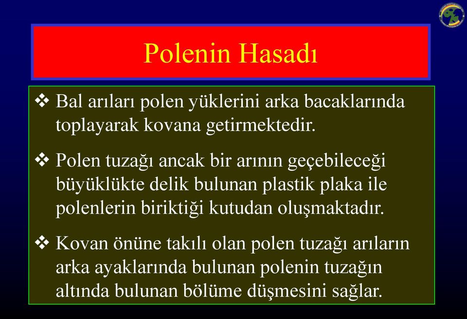 Polen tuzağı ancak bir arının geçebileceği büyüklükte delik bulunan plastik plaka ile