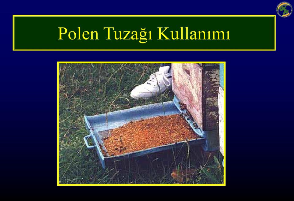 Kullanımı