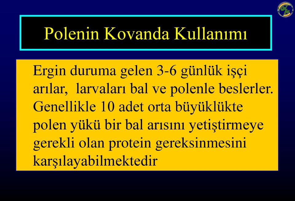 Genellikle 10 adet orta büyüklükte polen yükü bir bal