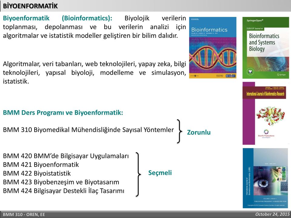 Algoritmalar, veri tabanları, web teknolojileri, yapay zeka, bilgi teknolojileri, yapısal biyoloji, modelleme ve simulasyon, istatistik.