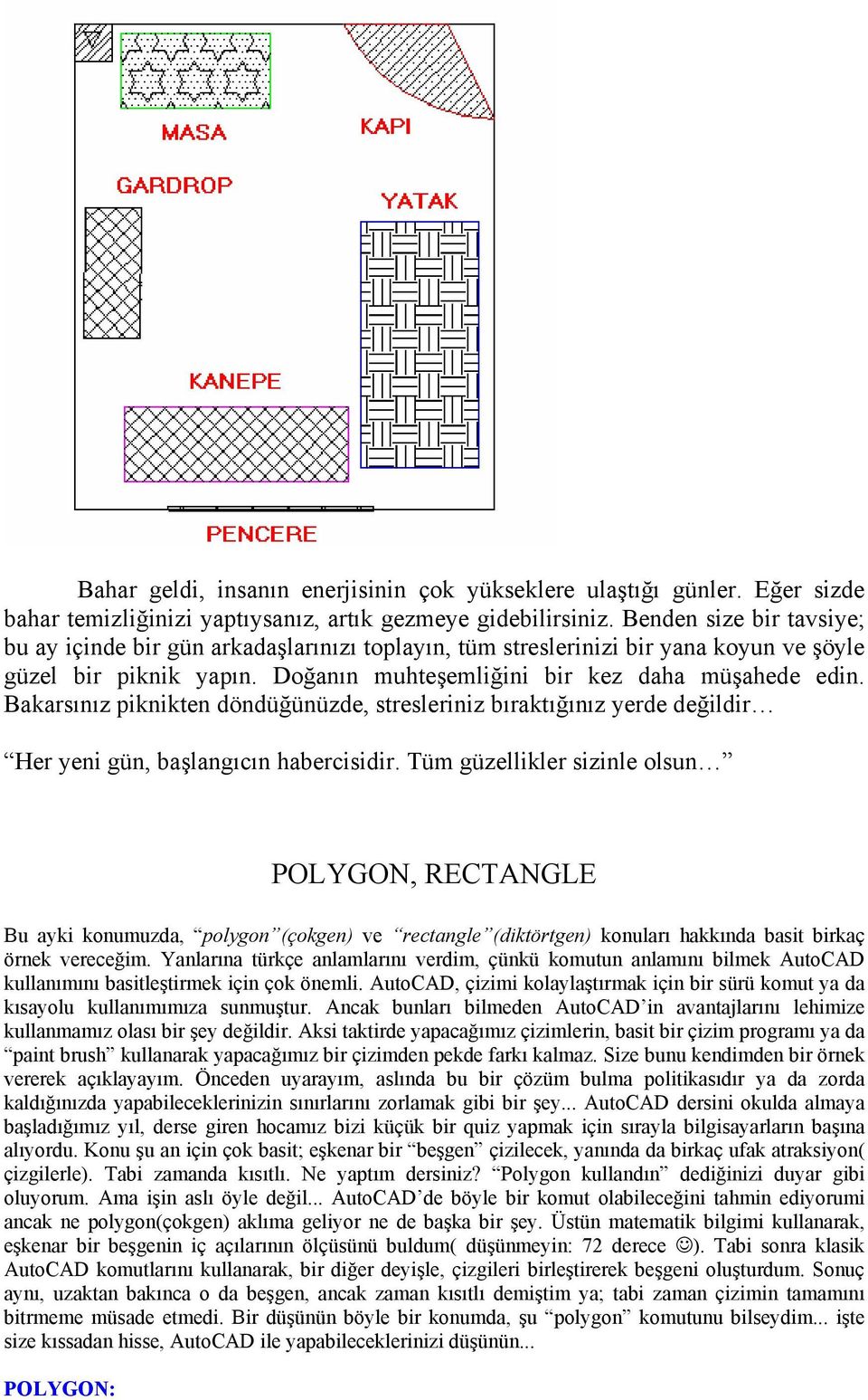 Bakarsınız piknikten döndüğünüzde, stresleriniz bıraktığınız yerde değildir Her yeni gün, başlangıcın habercisidir.