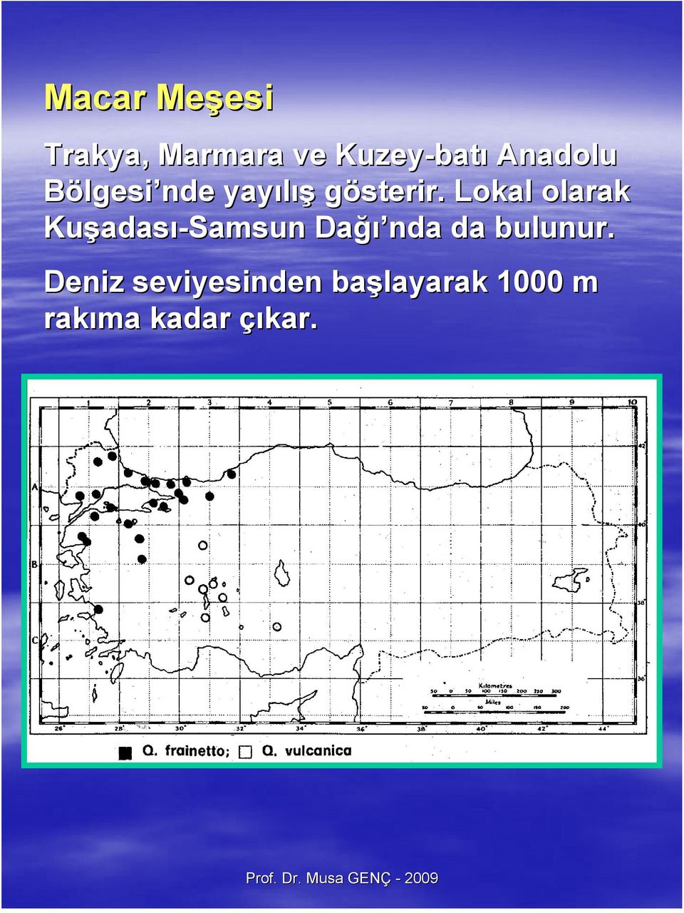 Lokal olarak Kuşadas adası-samsun Dağı ğı nda da