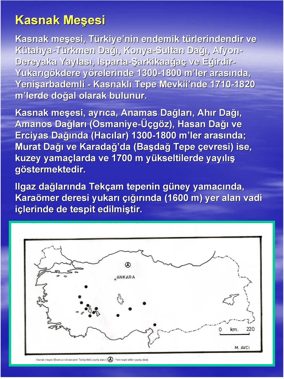 Kasnak meşesi, esi, ayrıca, Anamas Dağlar ları,, Ahır r Dağı ğı, Amanos Dağlar ları (Osmaniye-Üç Üçgöz), Hasan Dağı ve Erciyas Dağı ğında (Hacılar) 1300-1800 1800 m ler arasında; Murat Dağı ve