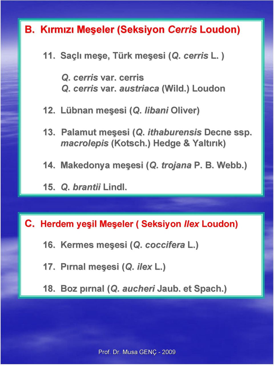 macrolepis (Kotsch.) Hedge & Yaltırık) 14. Makedonya meşesi esi (Q.( trojana P. B. Webb.) 15. Q. brantii Lindl. C.